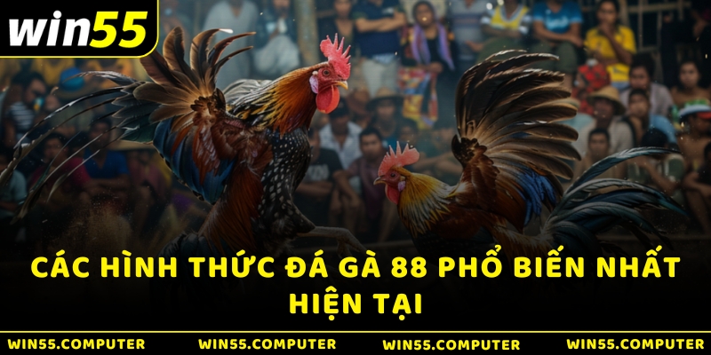 Các hình thức Đá gà 88 phổ biến nhất hiện tại