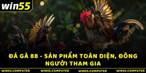 Đá Gà 88 - Sản Phẩm Toàn Diện, Đông Người Tham Gia