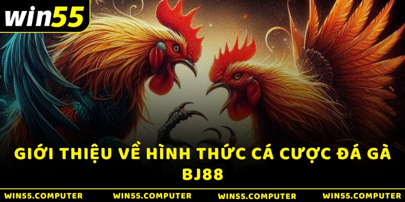 Giới thiệu về hình thức cá cược Đá gà BJ88