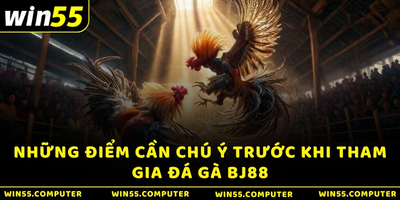 Những điểm cần chú ý trước khi tham gia Đá gà BJ88