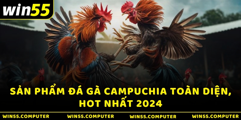 Sản phẩm Đá gà Campuchia toàn diện, hot nhất 2024