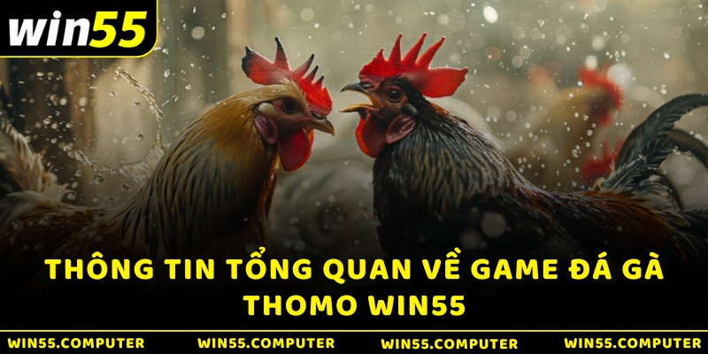 Thông tin tổng quan về game Đá gà Thomo WIN55