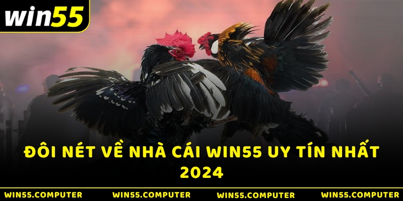 Đôi nét về nhà cái Win55 uy tín nhất 2024