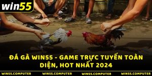 Đá Gà Win55 - Game Trực Tuyến Toàn Diện, Hot Nhất 2024