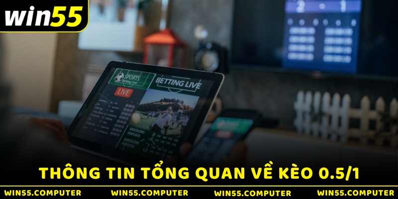 Thông tin tổng quan về kèo 0.5/1